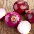 Pielęgnacja i uprawa cebuli fioletowej i czerwonej, korzyści i szkody, kiedy zbierać i jak przechowywać