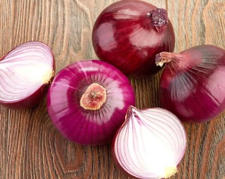 Pflege und Anbau von lila und roten Zwiebeln, Nutzen und Schaden, Zeitpunkt der Ernte und Lagerung