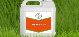 Instructies voor het gebruik van herbicide Merlin, consumptiesnelheden en bereiding van het werkmengsel