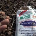Instructions for using the fertilizer Fitosporin in the garden