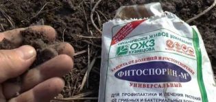Instrucciones para usar el fertilizante Fitosporin en el jardín.