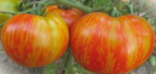 Beschreibung der Tomatensorte Fat Boatswain und ihrer Eigenschaften