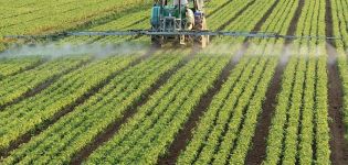 Instrucciones de uso del herbicida de acción continua Grader