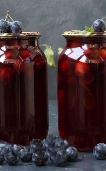 TOP 7 recipes for preparing thorn compote with seeds for the winter