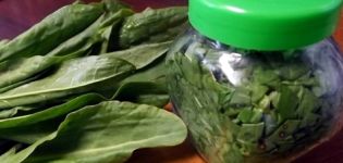The best recipes for harvesting sorrel for the winter at home in banks