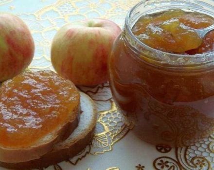 Een stapsgewijs recept voor het maken van appeljam met kaneel voor de winter
