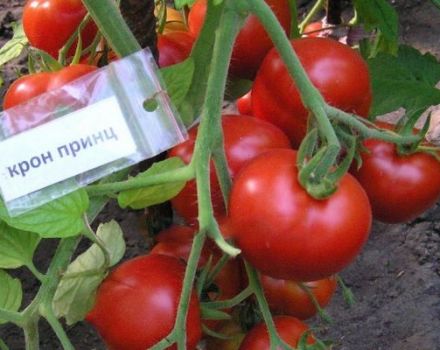 Description of the Cron Prince tomato variety and its characteristics