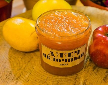 Recetas sencillas para hacer mermelada de manzana en casa para el invierno.
