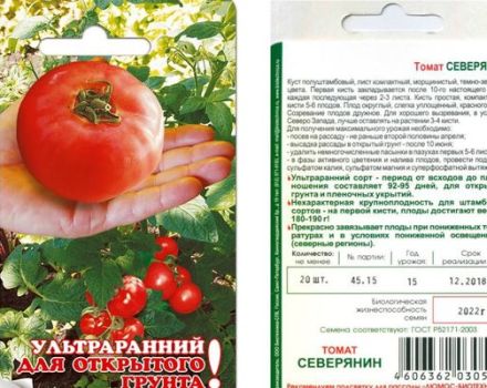 Pomidorų veislės Severyaninas aprašymas ir jo savybės