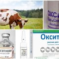 Gebrauchsanweisung für Kühe Oxytocin, Dosierungen für Tiere und Analoga