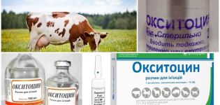 הוראות לשימוש לפרות אוקסיטוצין, מינונים לבעלי חיים ואנלוגים