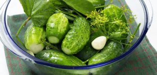 TOP 8 recepten voor koude ingelegde komkommers voor de winter