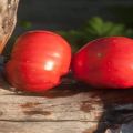 Tomaattilajikkeen kuvaus Komea lihainen ja sen ominaisuudet