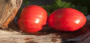 Description of the tomato variety Handsome meaty and its characteristics