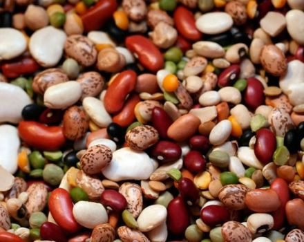 Which beans are better and healthier than white or red, how do they differ