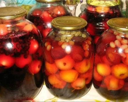 TOP 4 recipes for making berry compote for the winter without sterilization
