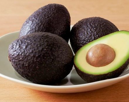 Descrizione e storia della selezione della varietà di avocado Haas, applicazione e come si differenzia dal solito