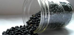 Užitečné a škodlivé vlastnosti černých fazolí pro zdraví, popis odrůd