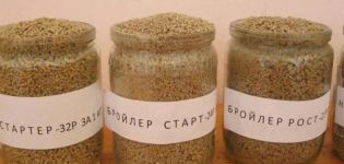 Sastav krmnih smjesa za hranjenje brojlera i recept za izradu sami