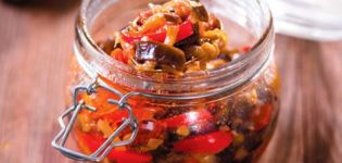 Recipes for canning ratatouille in jars for the winter