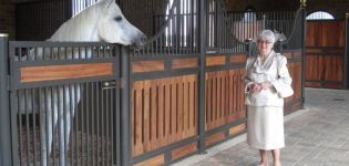 How to build and equip stables for horses, sizes and schemes of a stable