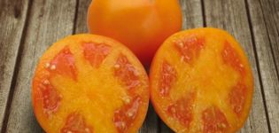 Kuvaus Aisan-tomaattilajikkeesta ja sen ominaisuuksista