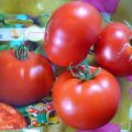 Charakteristiky a opis odrody Max paradajka, jej výnos