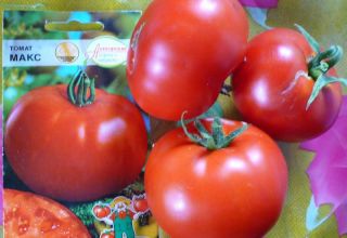 Características y descripción de la variedad de tomate Max, su rendimiento.