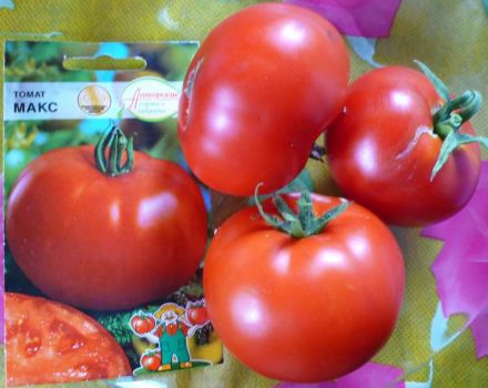 Egenskaber og beskrivelse af Max-tomatsorten, dens udbytte