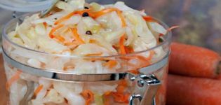 11 delicious recipes for cooking spicy cabbage for the winter
