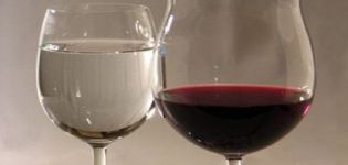 Γιατί αραιώστε το κρασί σταφυλιών με νερό και τις 4 καλύτερες σπιτικές συνταγές