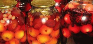 TOP 9 receptes augļu kompotu pagatavošanai ziemai