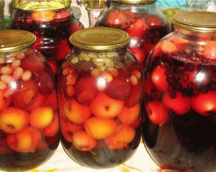 TOP 9 recepten voor het maken van diverse fruitcompote voor de winter