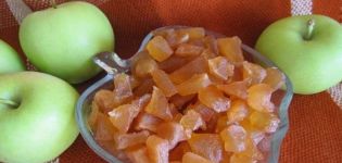 Stapsgewijze recepten voor het thuis maken van gekonfijte appels van appels voor de winter