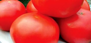 Karakteristike sorte rajčice Ural F1, prinos i značajke poljoprivredne tehnologije