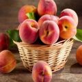 TOP 14 Rezepte für Pfirsichzubereitungen für den Winter zu Hause