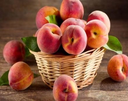 TOP 14 receptes persiku pagatavošanai ziemai mājās