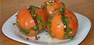 TOP 14 Rezepte zum Kochen armenischer Tomaten für den Winter