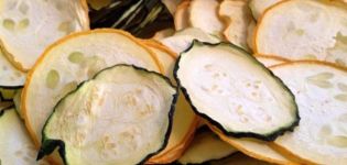 3 best recipes for making dried zucchini for the winter