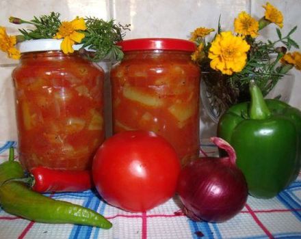 TOP 12 recipes for lecho from bell pepper You will lick your fingers for the winter