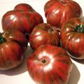 Descrizione e caratteristiche della varietà di pomodori a strisce di cioccolato, la loro resa