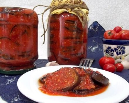 TOP 10 best recipes for awesome eggplant in adjika for the winter with and without sterilization