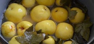 Jednostavni detaljni recepti za pravljenje kiselih jabuka u cjelini i kriški