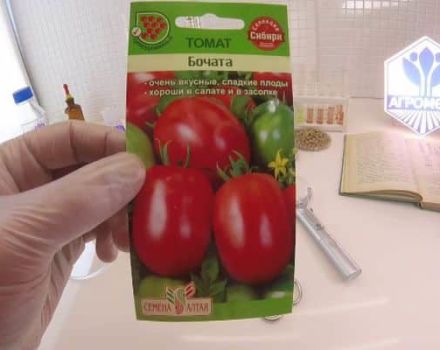 Opis odrody paradajok Bochata, vlastnosti a pestovanie