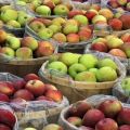 Kā mājās saglabāt ābolus svaigus