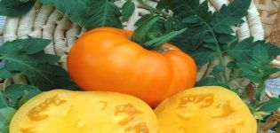 Περιγραφή της ποικιλίας ντομάτας Bison κίτρινο, τα χαρακτηριστικά και η καλλιέργειά της