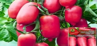 Mô tả về giống cà chua Cây nến tím, năng suất và nhận xét của người dân mùa hè