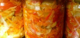 8 mejores recetas de calabacín marinado con repollo para el invierno