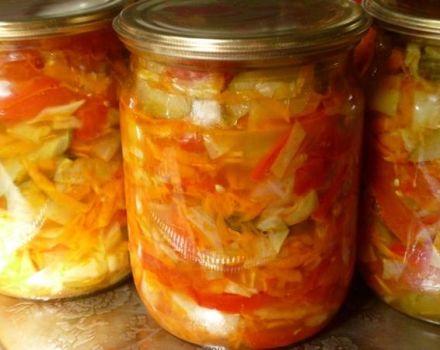 8 besten Rezepte für marinierte Zucchini mit Kohl für den Winter