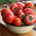 Bewertung der besten Tomatensorten für die Region Saratow